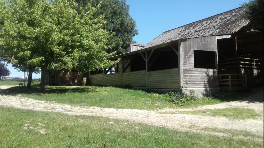Les écuries des shetlands et le manège