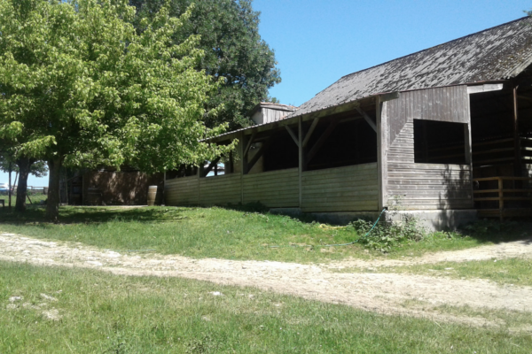 Les écuries des shetlands et le manège Les écuries des shetlands et le manège