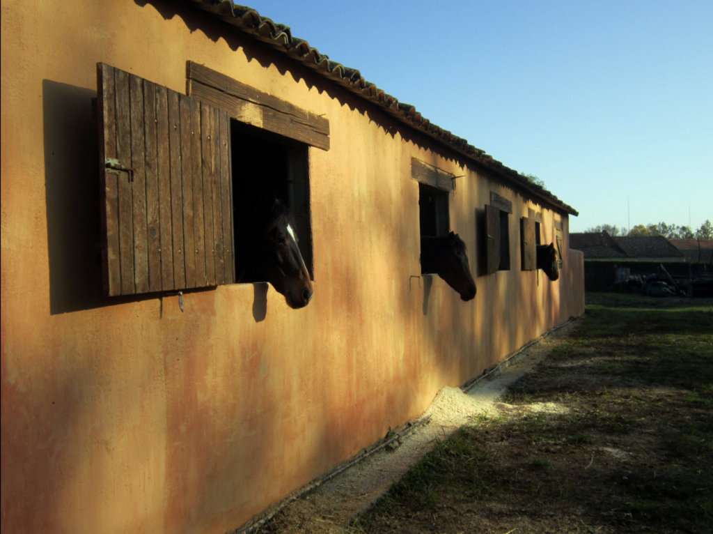 On se dore la pilule au soleil
