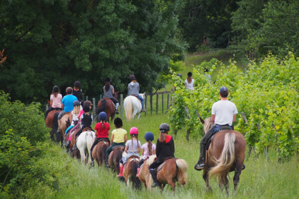 Randonnée dans les vignes Randonnée dans les vignes