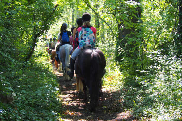 Randonnée en fôret Randonnée en fôret