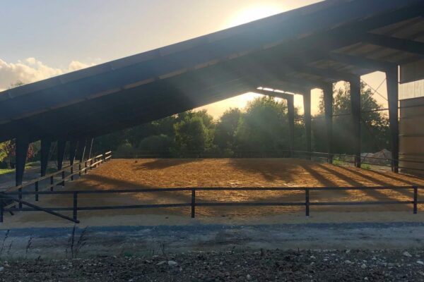 Le manège Le manège