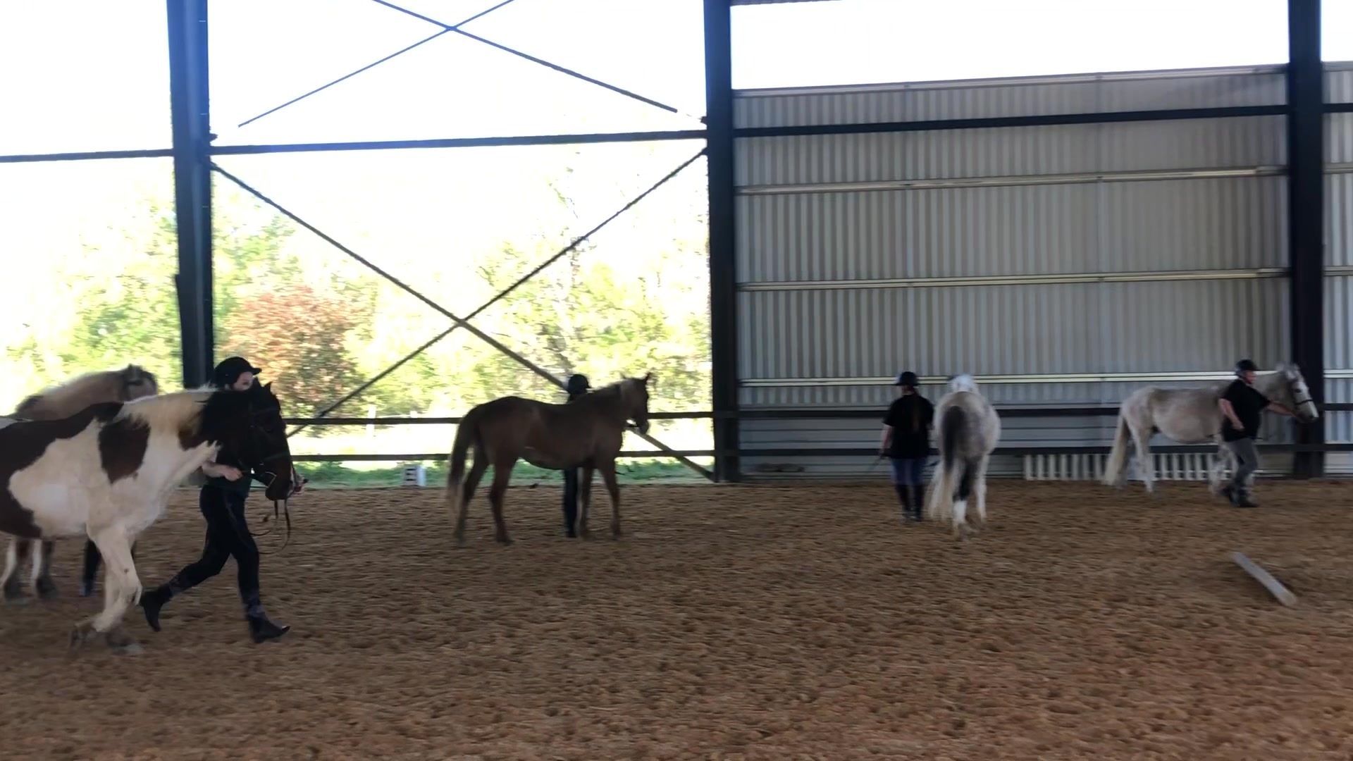 Poney Club Ste Foy