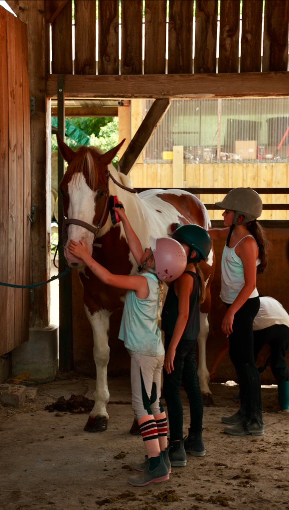 Poney Club Ste Foy