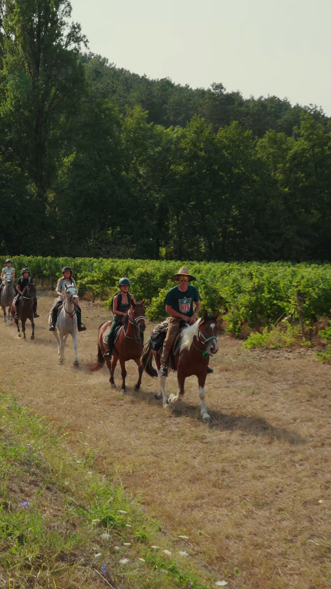 Poney Club Ste Foy