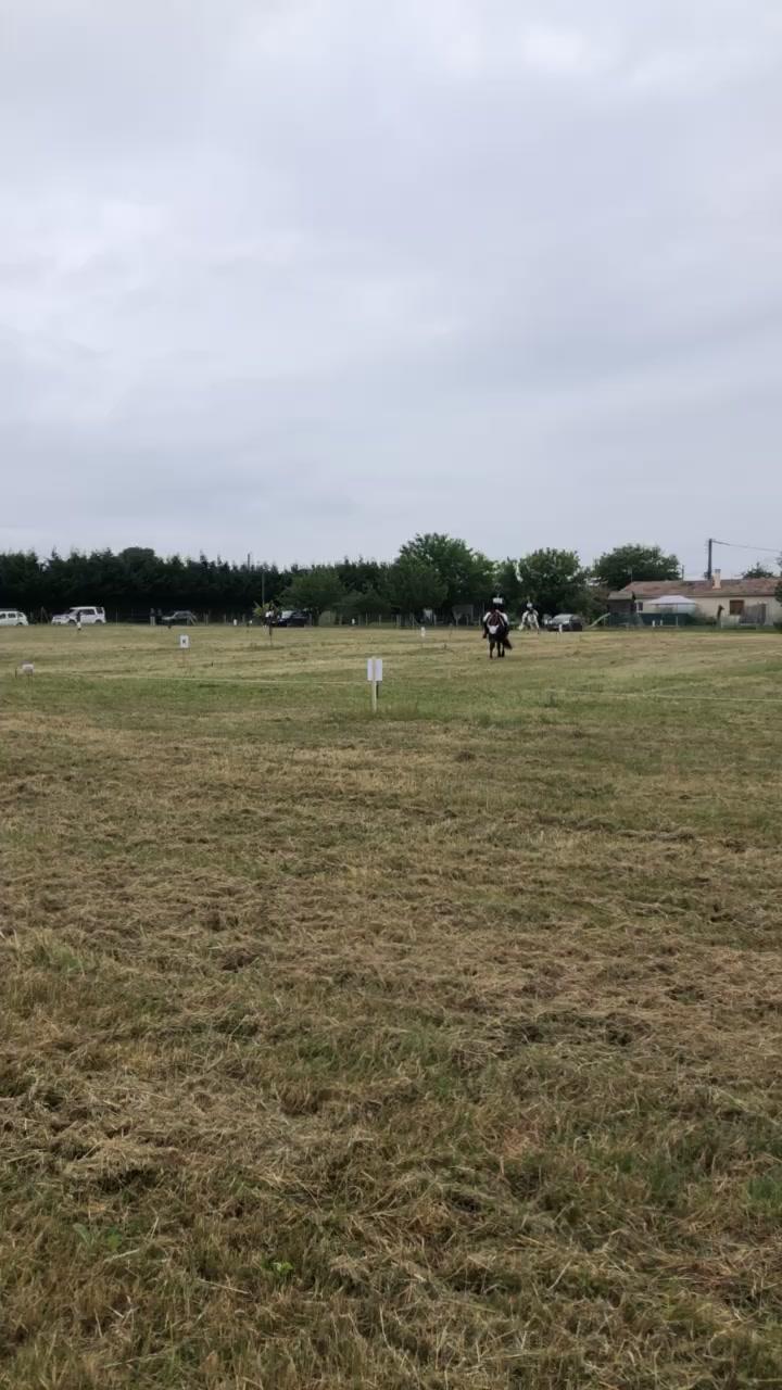 Poney Club Ste Foy